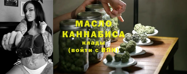 дмт Переславль-Залесский