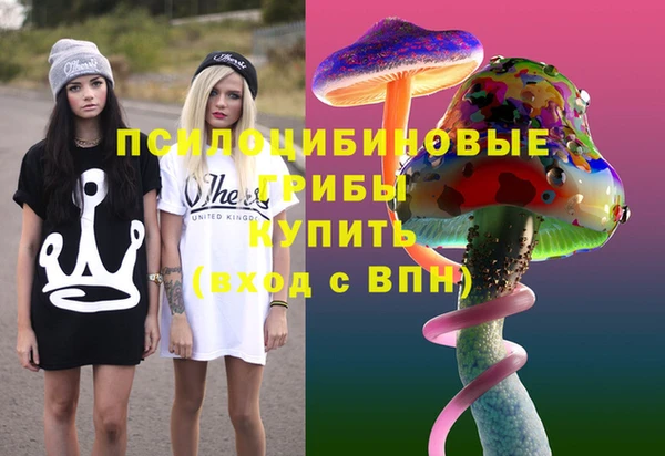 мдпв Белокуриха