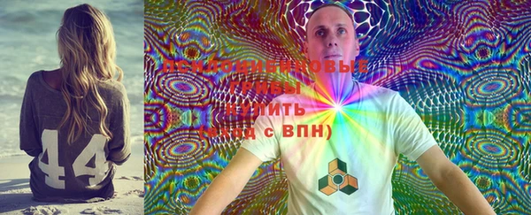 мдпв Белокуриха