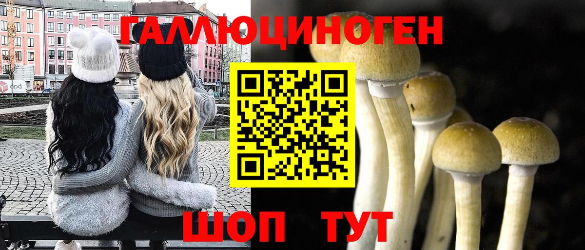 Псилоцибиновые грибы Magic Shrooms  Вход с VPN  Реутов 